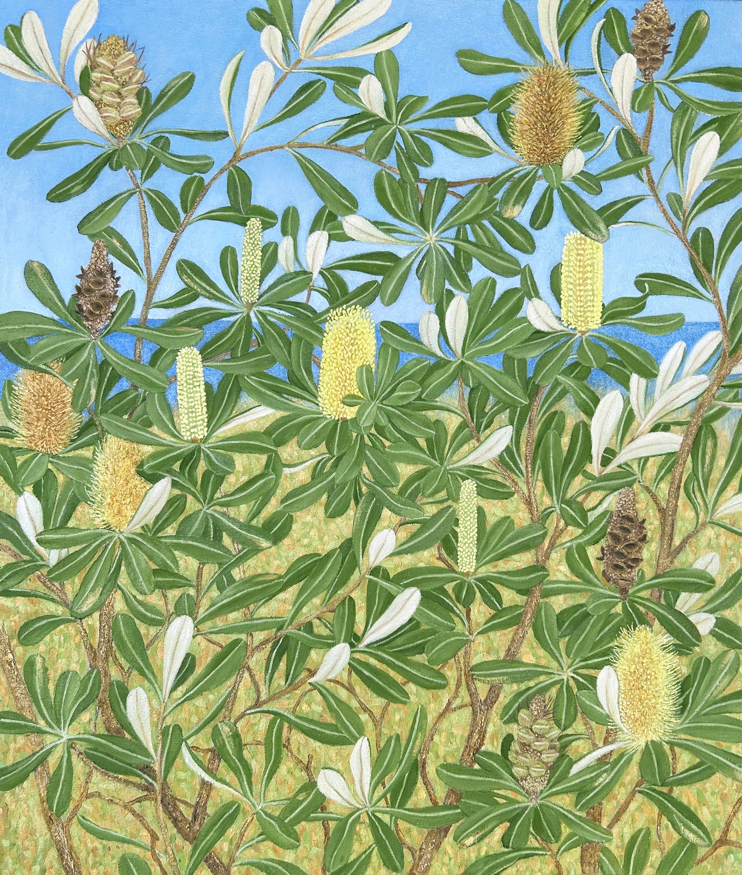 Coastel Banksia (sold)