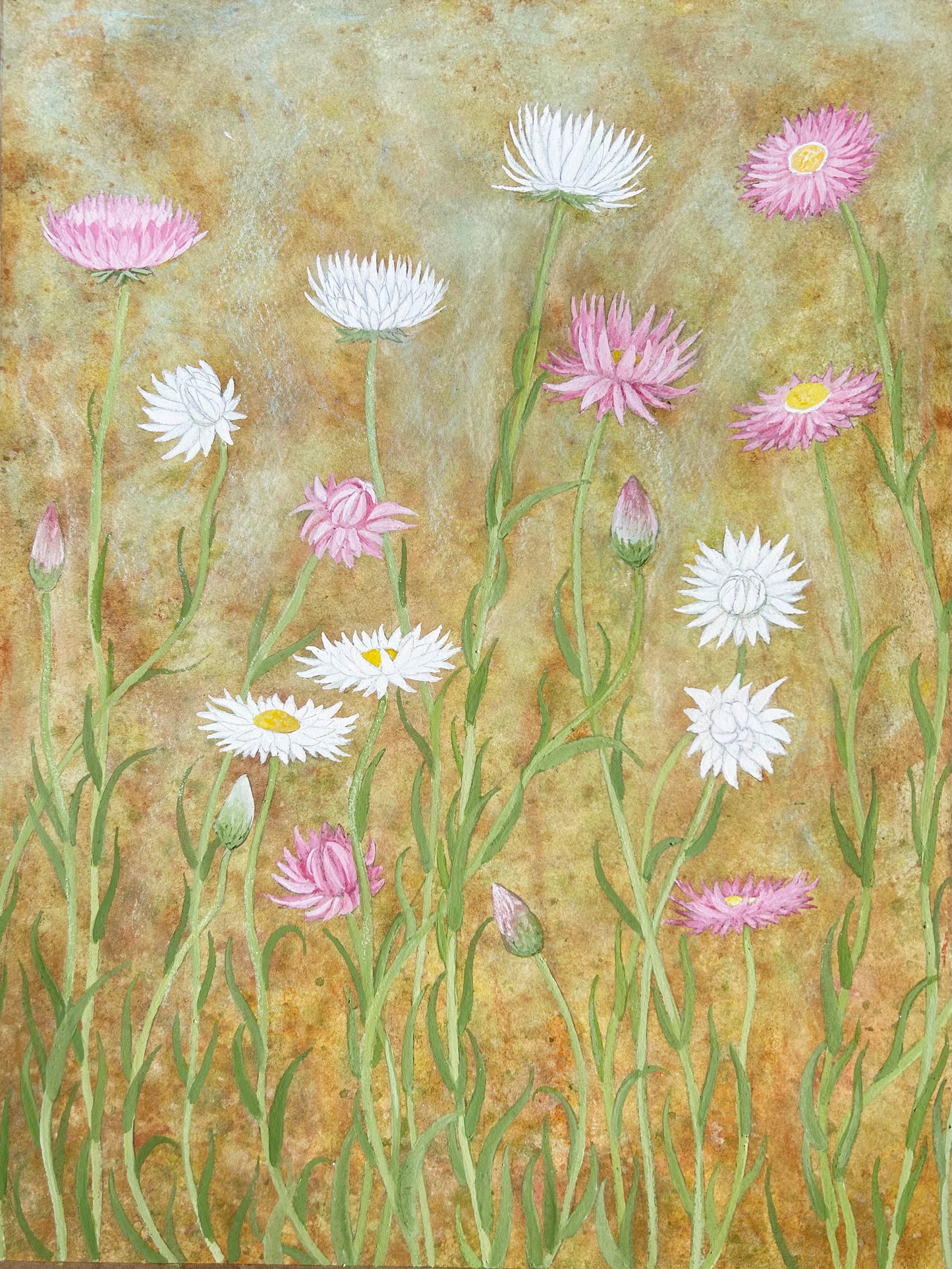 Paper Daisy (sold)