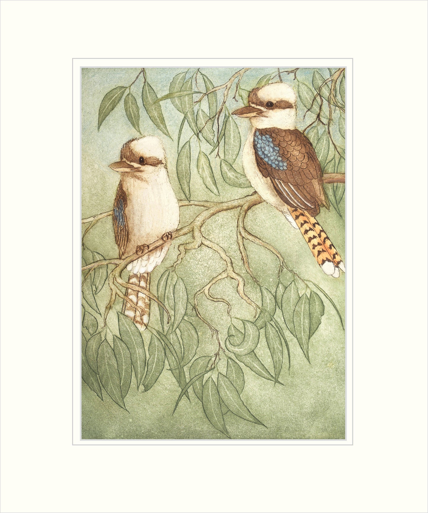 Kookaburras