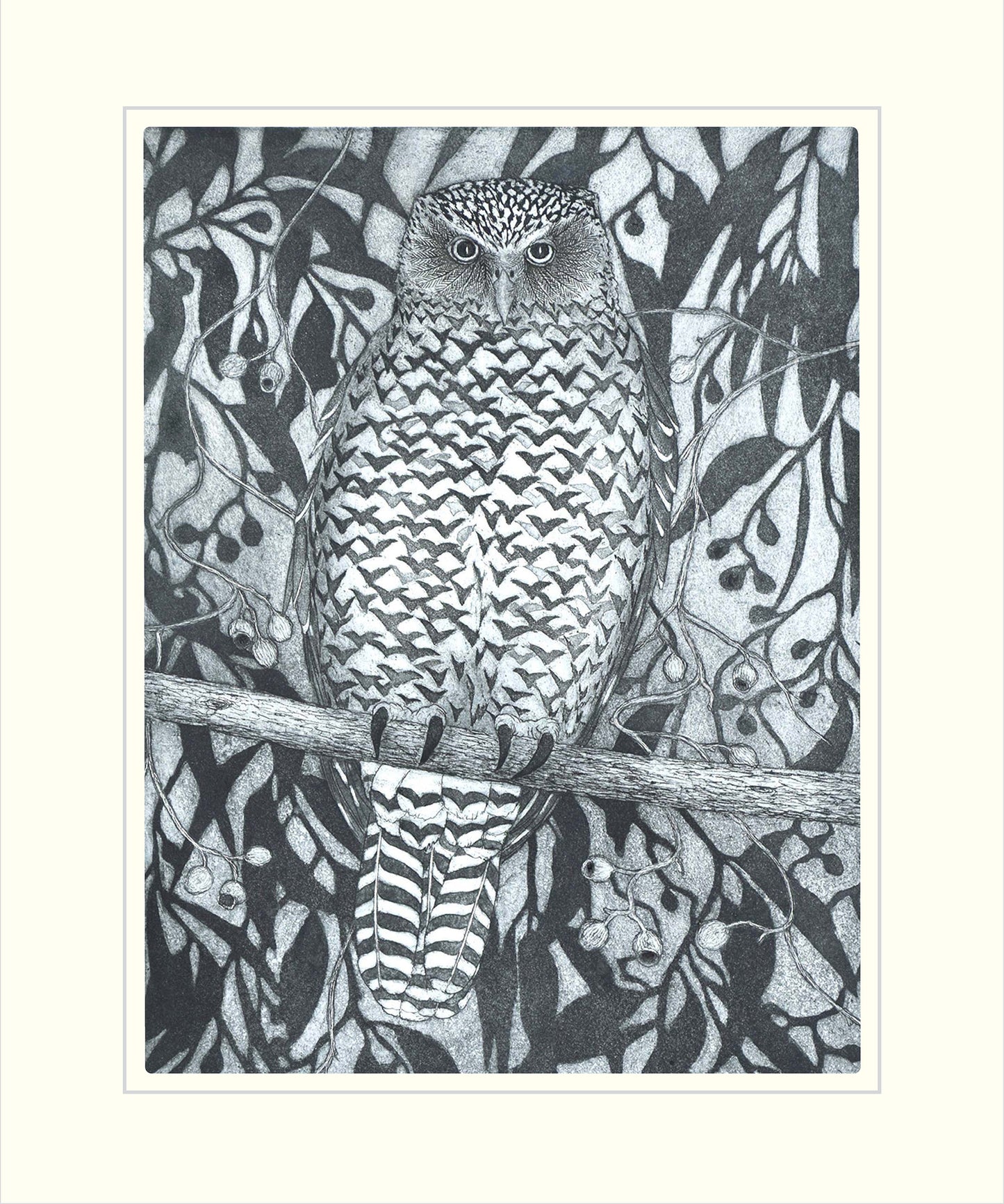 Powerful Owl
