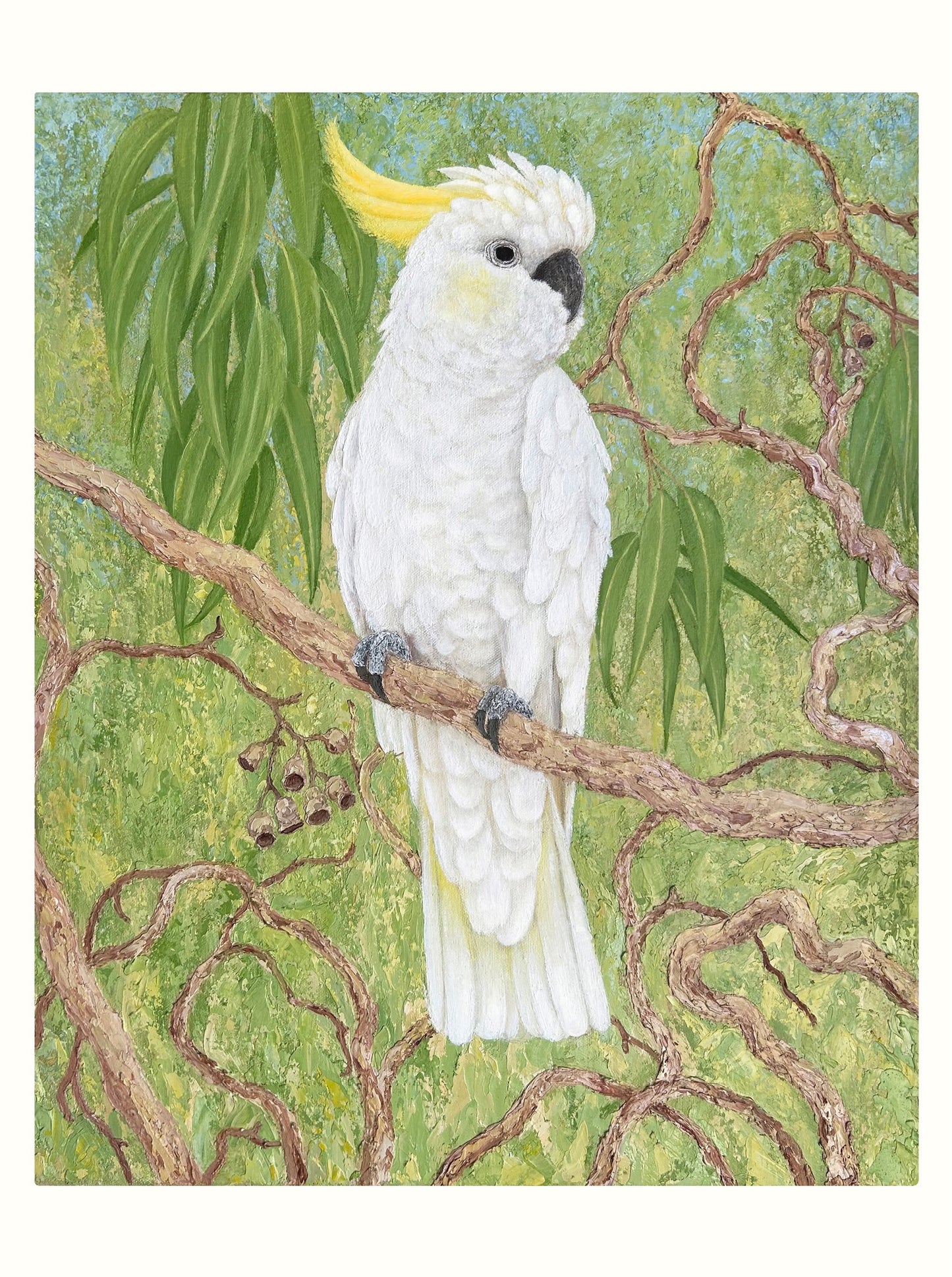 Sulphur-crest Cockatoo