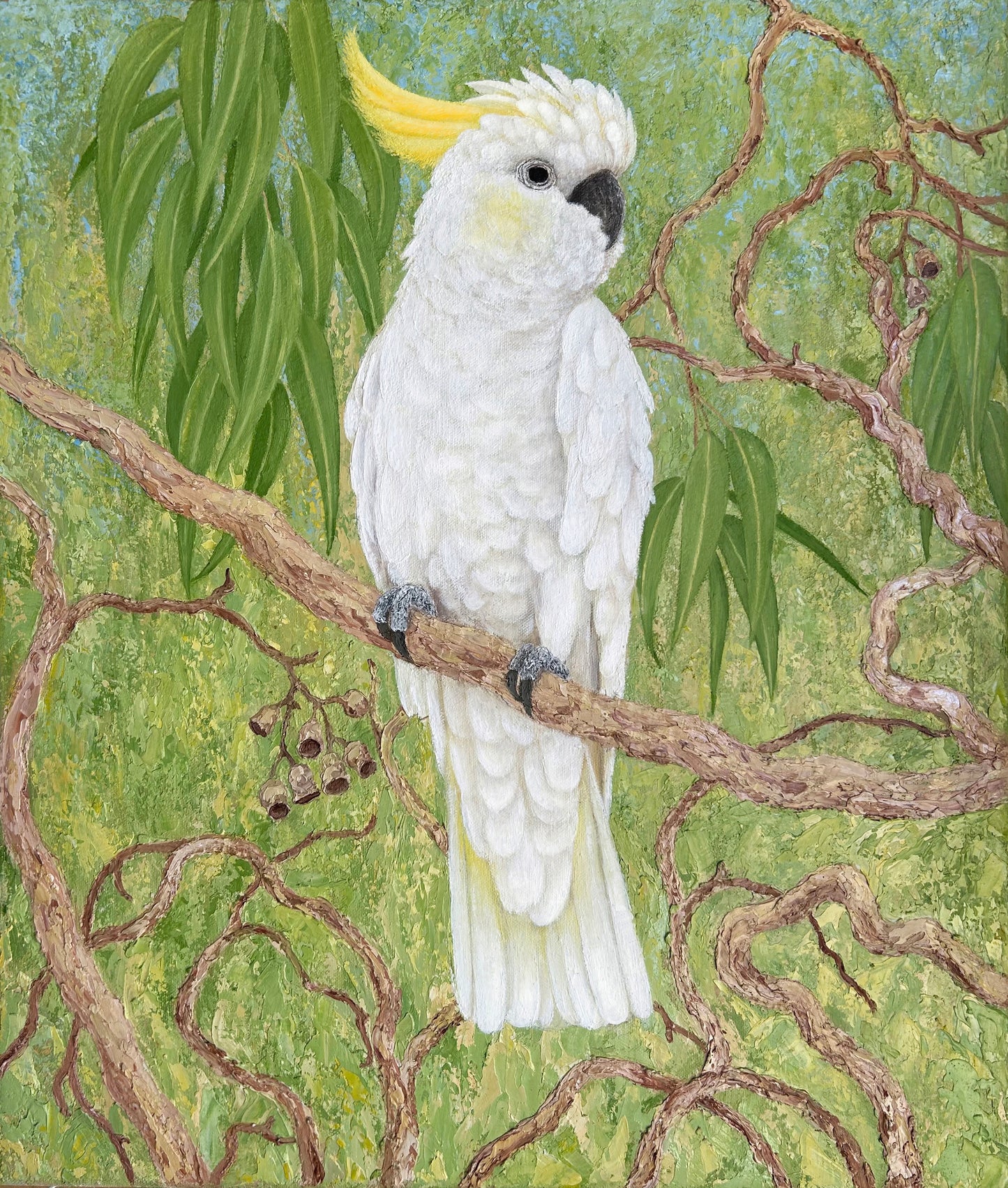 Sulphur-crested Cockatoo