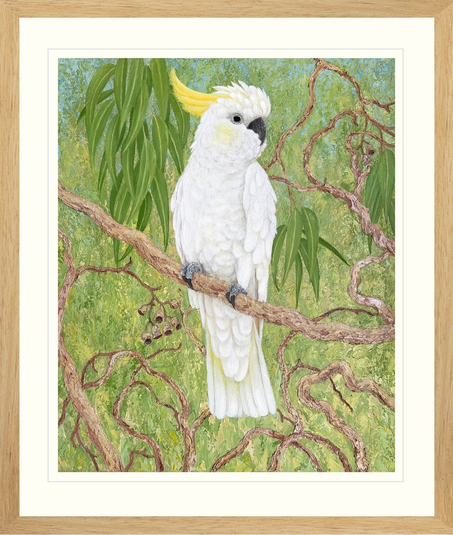 Sulpur-Crested Cockatoo