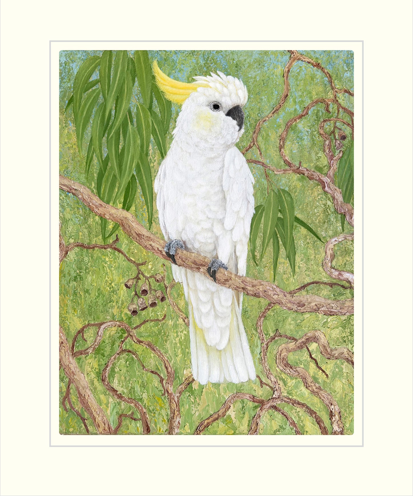 Sulphur- crested Cockatoo