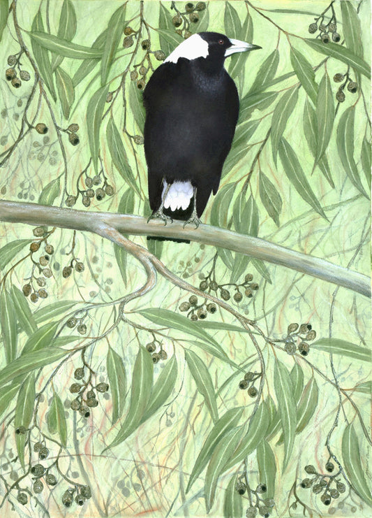 Big Magpie  (sold)