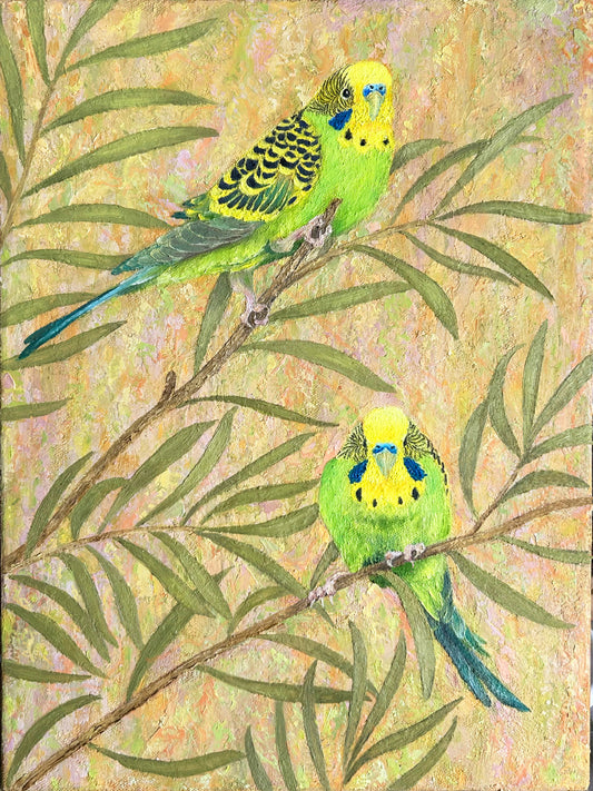 Budgerigars