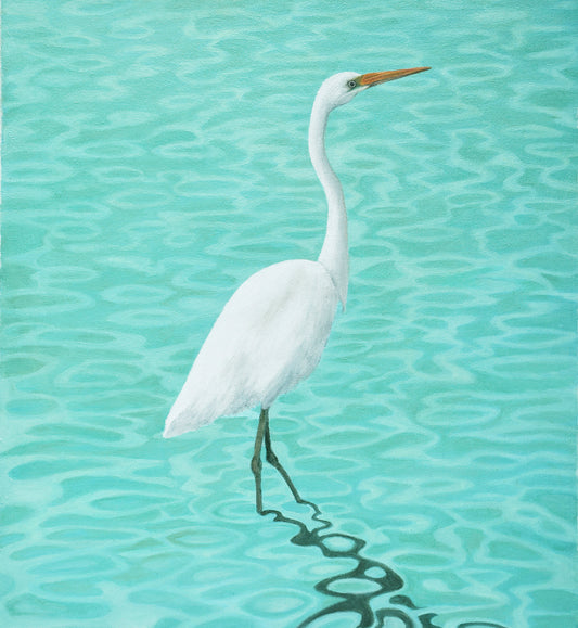 Great Egret  (sold)