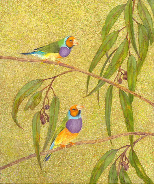 Gouldian Finches (sold)