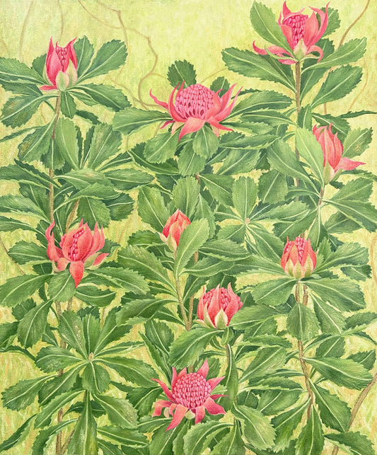 Waratah painting